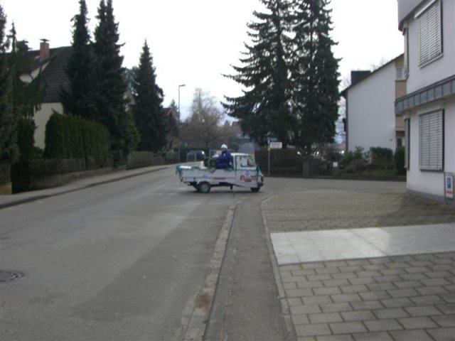 CIMG0502 (Medium)